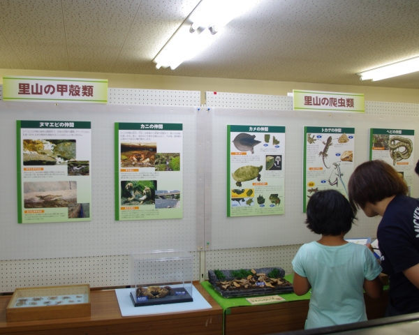 http://www.shizutan.jp/learning/2013/08/10/images/shizenshi003.JPG