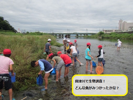 http://www.shizutan.jp/learning/2013/10/17/images/4.JPG