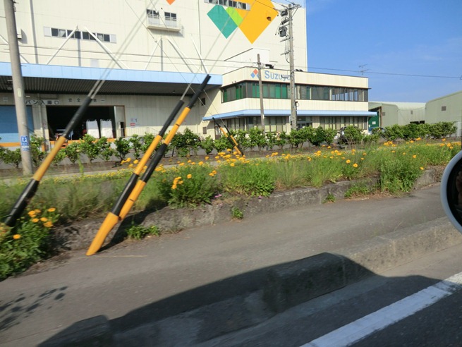 http://www.shizutan.jp/news/2013/06/07/images/005-240516miyakami01.JPG