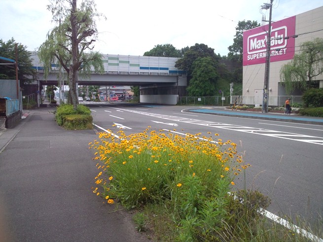 http://www.shizutan.jp/news/2013/06/07/images/007-240520toro02.jpg
