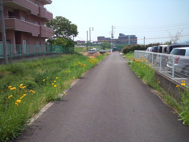 http://www.shizutan.jp/news/2013/06/07/images/012-240517toibashigawa01.jpg