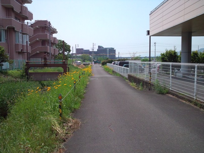 http://www.shizutan.jp/news/2013/06/07/images/012-240517toibashigawa02.jpg