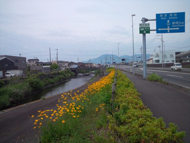 http://www.shizutan.jp/news/2013/06/07/images/051-240520hamagawa01.jpg