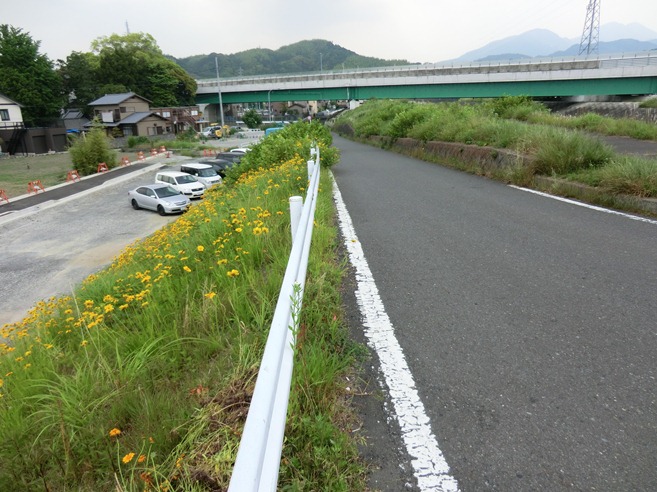 http://www.shizutan.jp/news/2013/06/07/images/059-250520nagaogawa04.JPG
