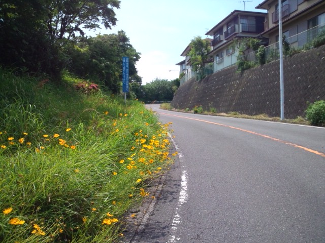 http://www.shizutan.jp/news/2013/06/07/images/065-240601nihondaira02.jpg