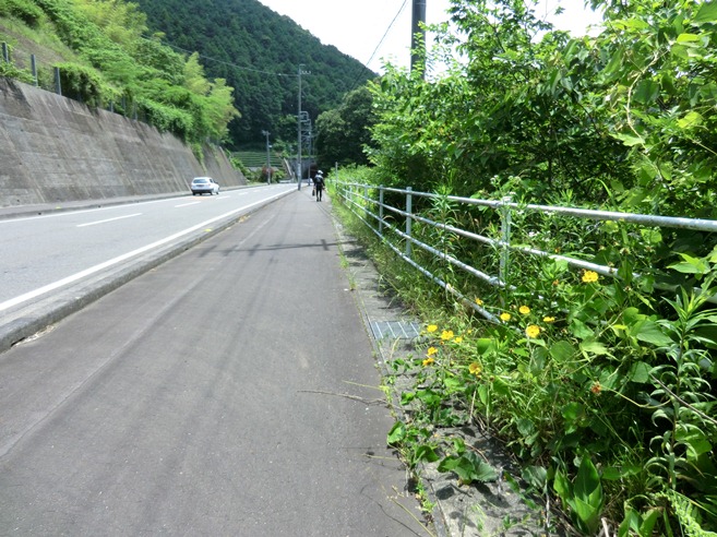 http://www.shizutan.jp/news/2013/06/07/images/152-250602hideshimatonnery01.JPG