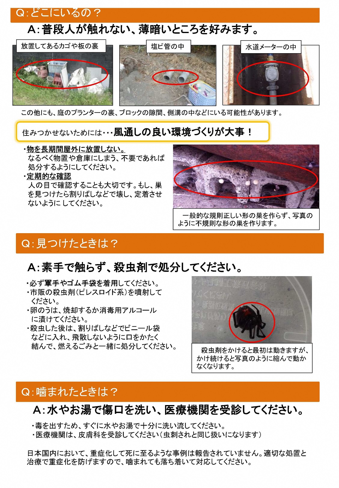 http://www.shizutan.jp/news/2018/09/04/images/%E3%83%81%E3%83%A9%E3%82%B7%E3%80%8C%E3%82%BB%E3%82%A2%E3%82%AB%E3%82%B4%E3%82%B1%E3%82%B0%E3%83%A2%E3%81%AB%E6%B3%A8%E6%84%8F%EF%BC%81%E3%80%8D-2.jpg