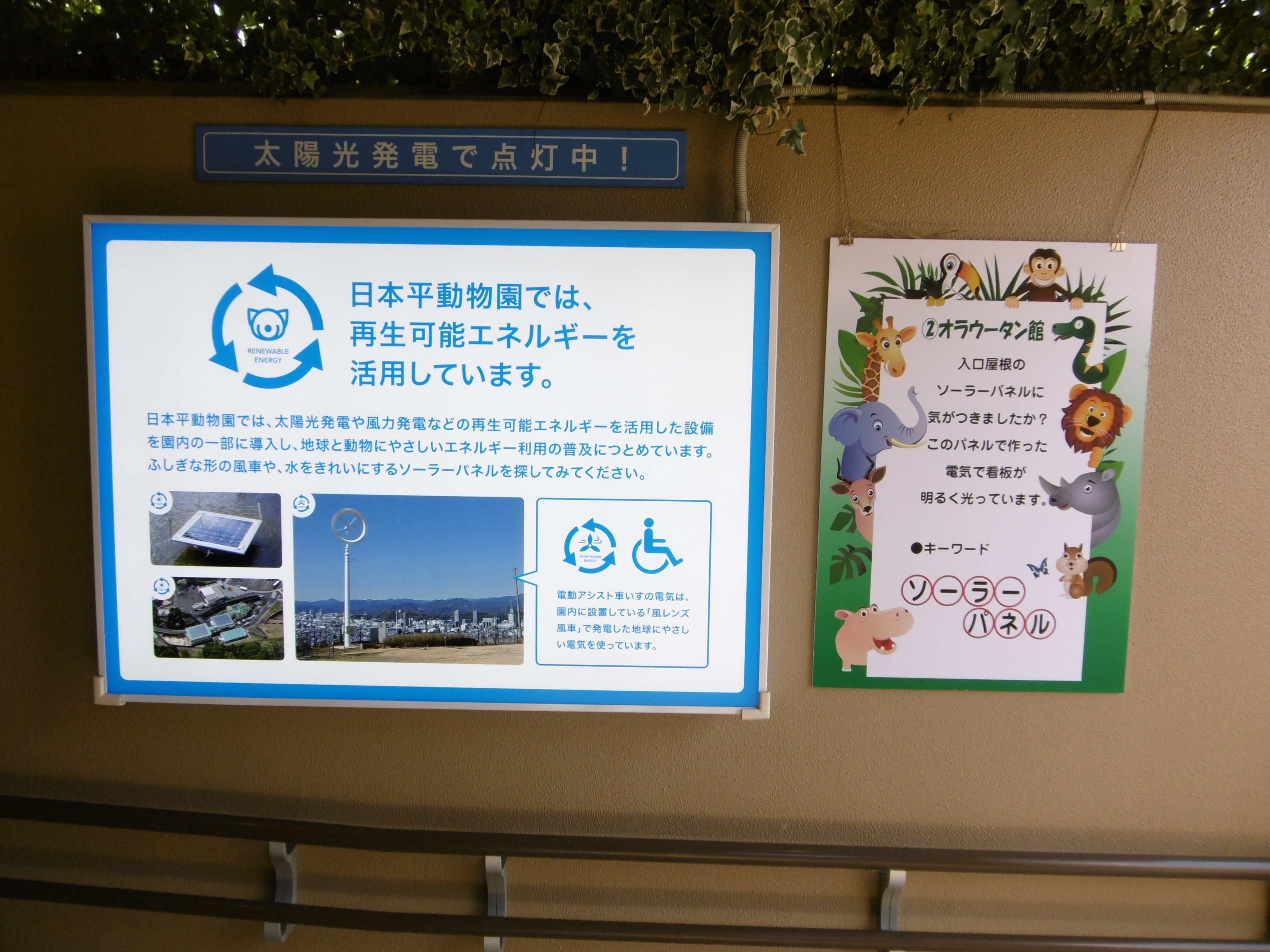 http://www.shizutan.jp/ondanka/event/images/032%E3%82%AA%E3%83%A9%E3%83%B3%E3%82%A6%E3%83%BC%E3%82%BF%E3%83%B3%E9%A4%A8%E2%98%86.JPG