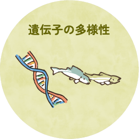 遺伝子の多様性