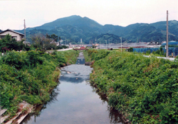 柳原