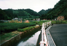 下