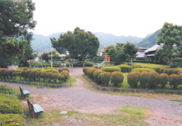 北