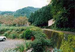 北