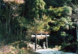 門屋
