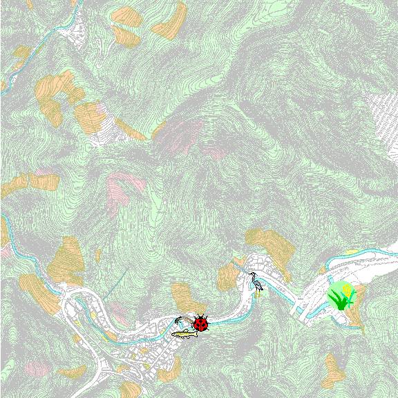 DetailMap