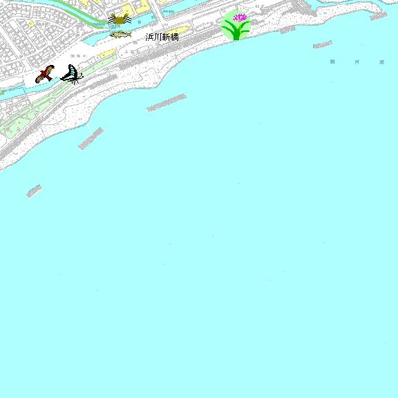 DetailMap