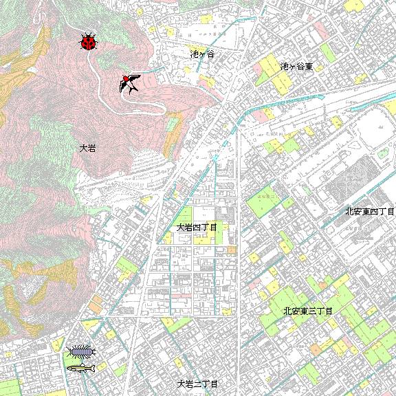 DetailMap