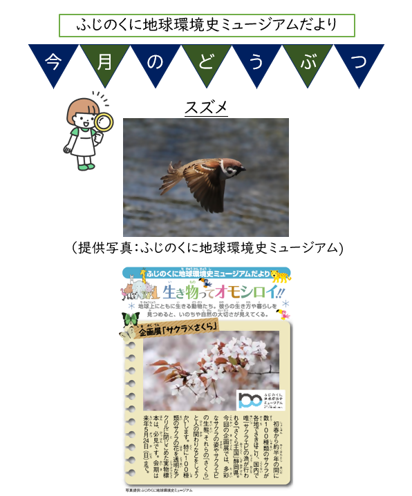本文-2.png
