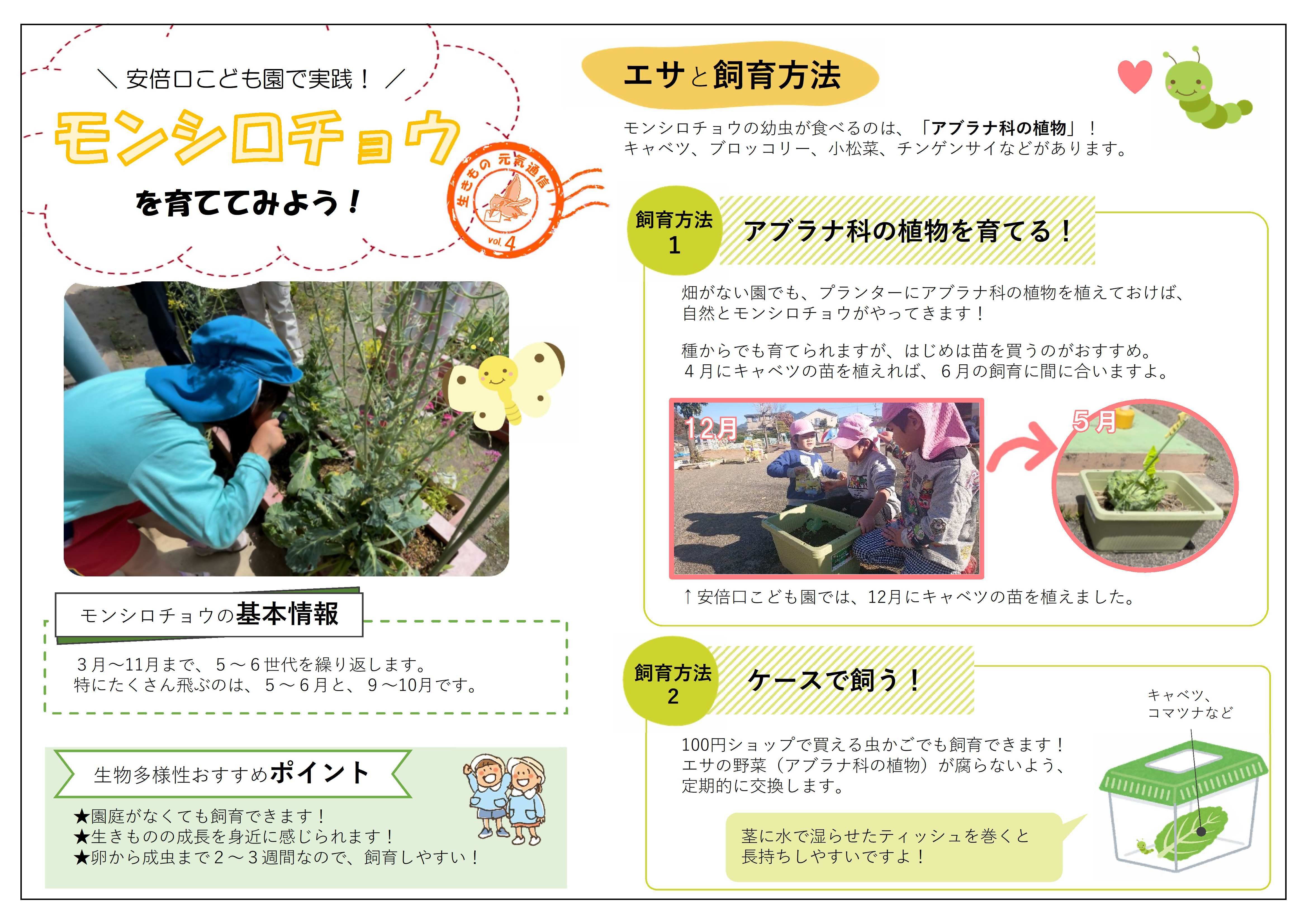 https://www.shizutan.jp/news/assets/78ce9dc89996051e074f2e5b22bdc8e46e44a4da.jpg