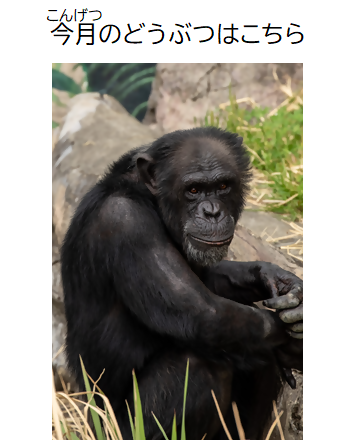 https://www.shizutan.jp/news/assets/7ba00f2e50cb8d182e03c5c9eecdbb04cf7dd18a.png