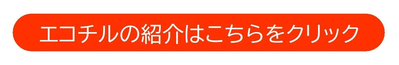 エコチルとはー２.jpg
