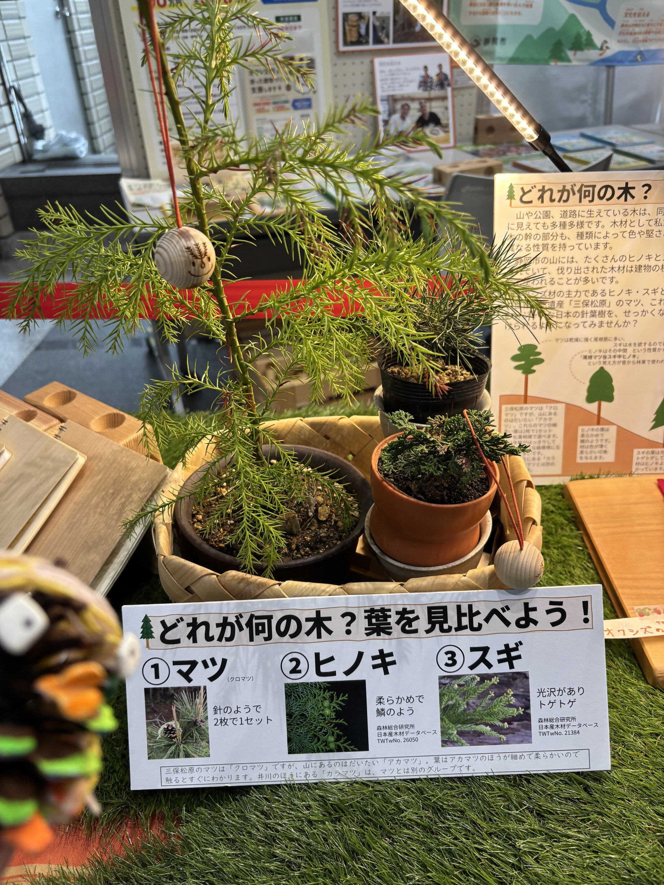 https://www.shizutan.jp/news/assets/ccebe4192e13382e5b67342b01bf3156bd1bc63d.jpg