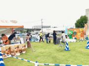 IMG_9832.jpgのサムネイル画像