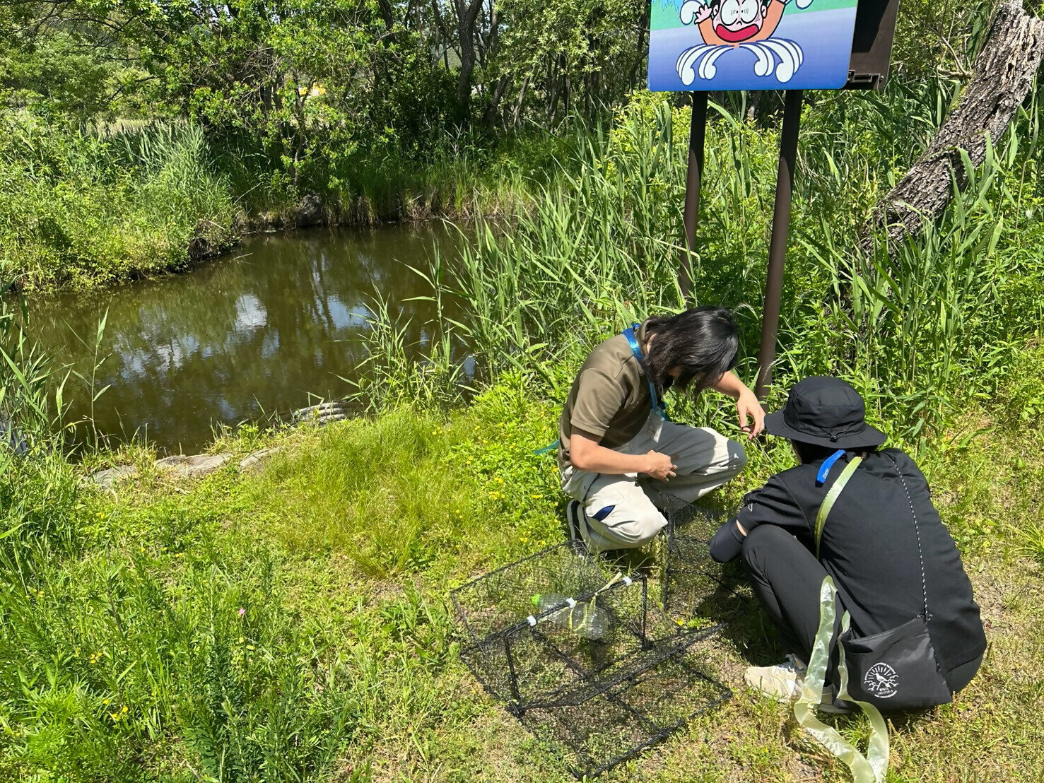 LINE_ALBUM_カメ調査_260820_6.jpg