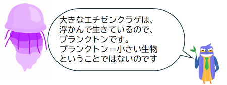エチゼンクラゲ.png