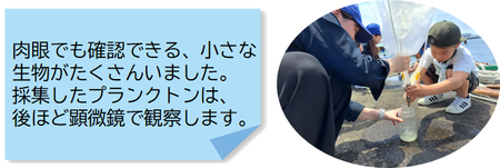 ❻.png