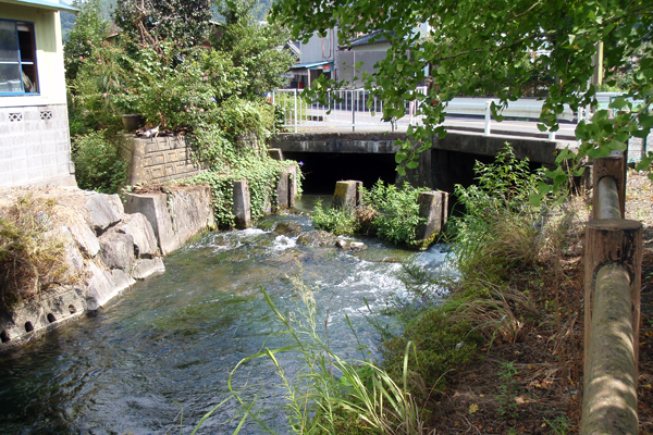 福田ヶ谷公民館付近