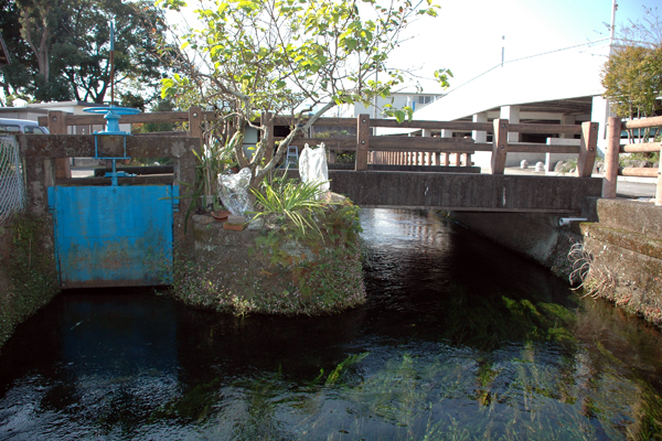 北部体育館東側