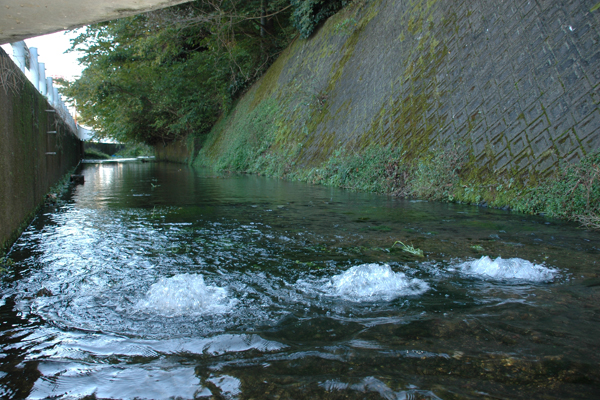牧ヶ谷湧水公園（まきがやゆうすいこうえん）
