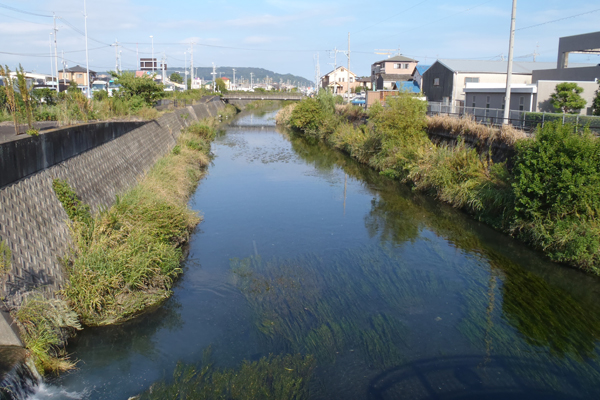 浜川（はまがわ）
