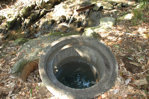 権現の泉（ごんげんのいずみ）