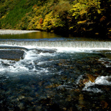 安倍中河内川（中沢）