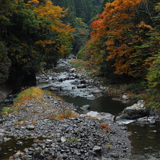 藁科川（坂ノ上）