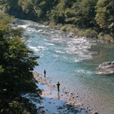 興津川（立花）