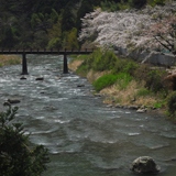 興津川（清地）