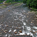 藁科川（八幡）
