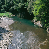 藁科川（坂ノ上）