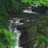 長尾川（平山）