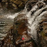 足久保川（足久保 奥組）