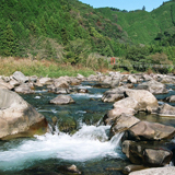 藁科川（赤沢）