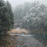 藁科川（坂ノ上）