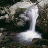 興津川（大平）